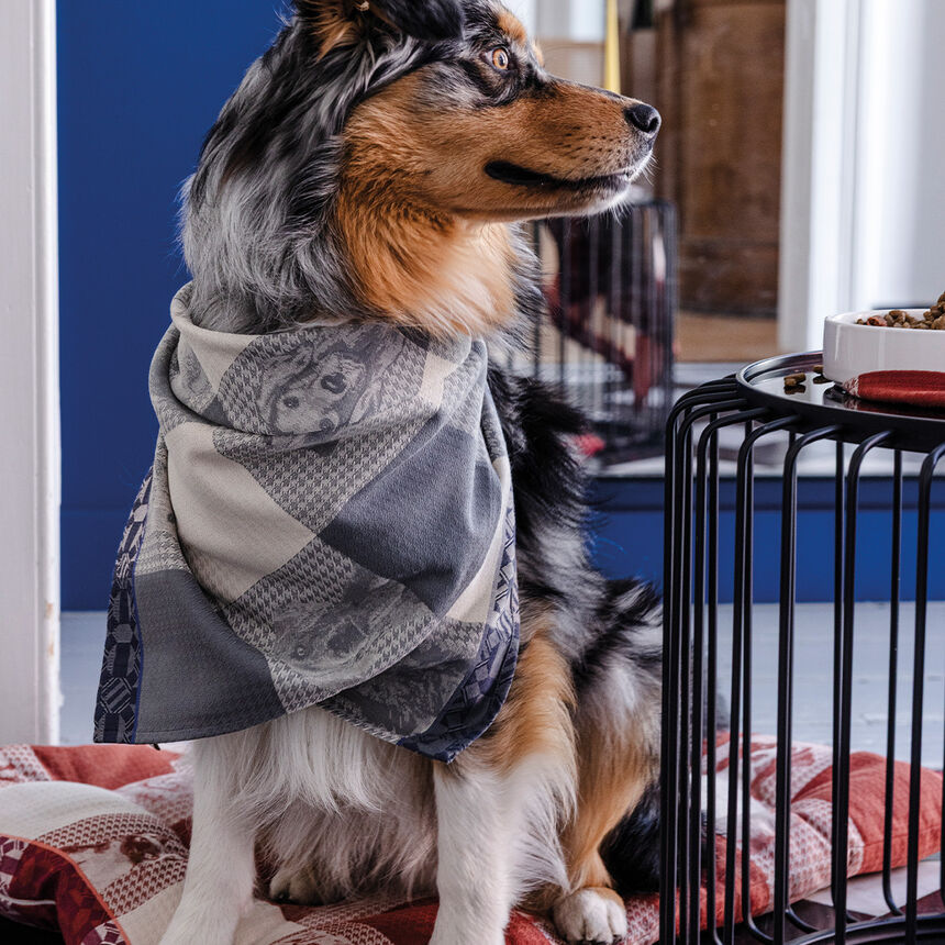 Geschirrtuch Truffes Chartreux 60x80 100% baumwolle, , hi-res image number 2