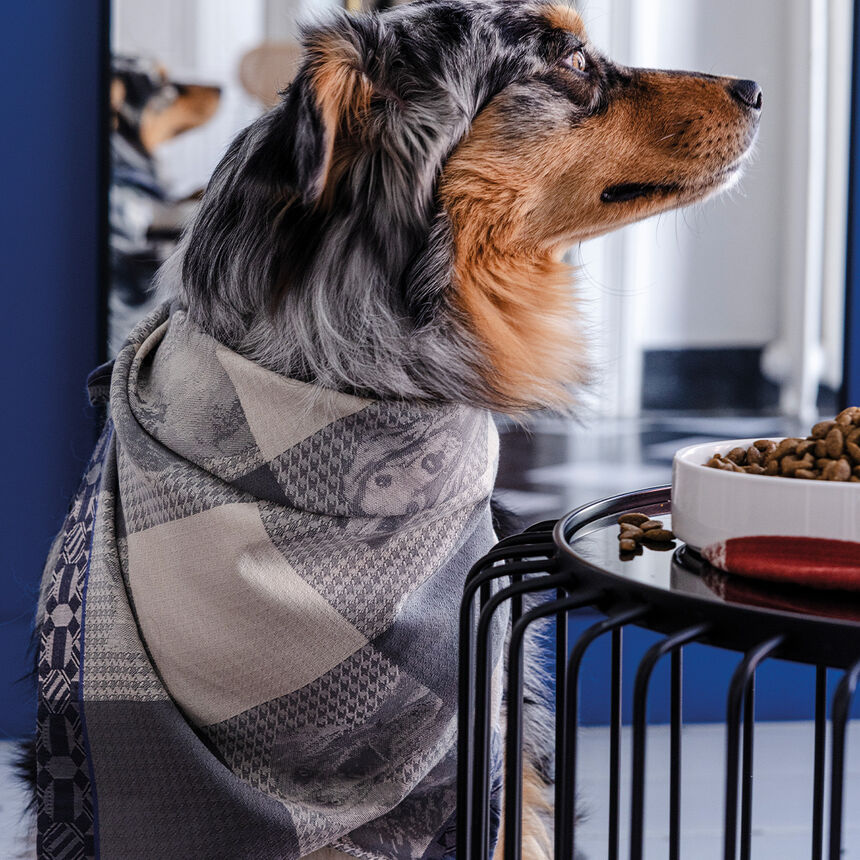 Geschirrtuch Truffes Chartreux 60x80 100% baumwolle, , hi-res image number 1