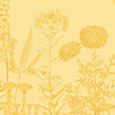 Geschirrtuch Blooming Baumwolle, , swatch